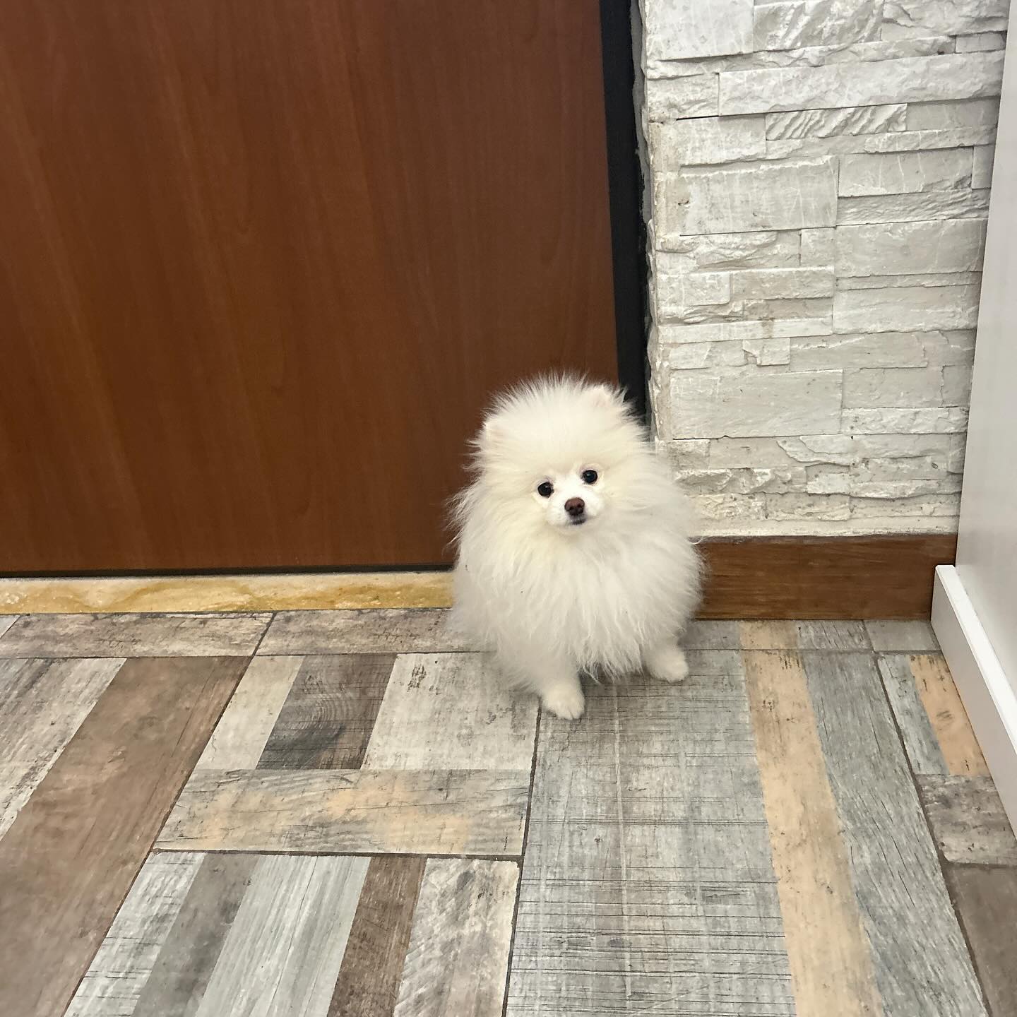 elsgatti instagram image archive image