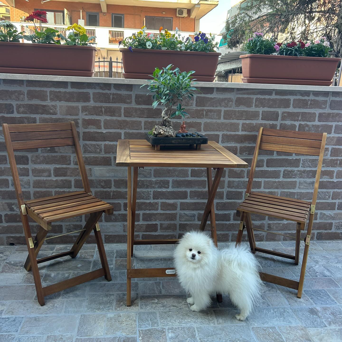 elsgatti instagram image archive image