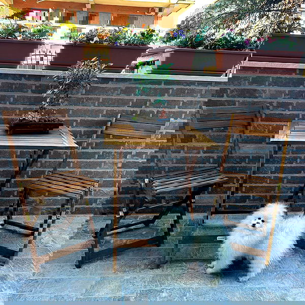 elsgatti image ~ Altpins