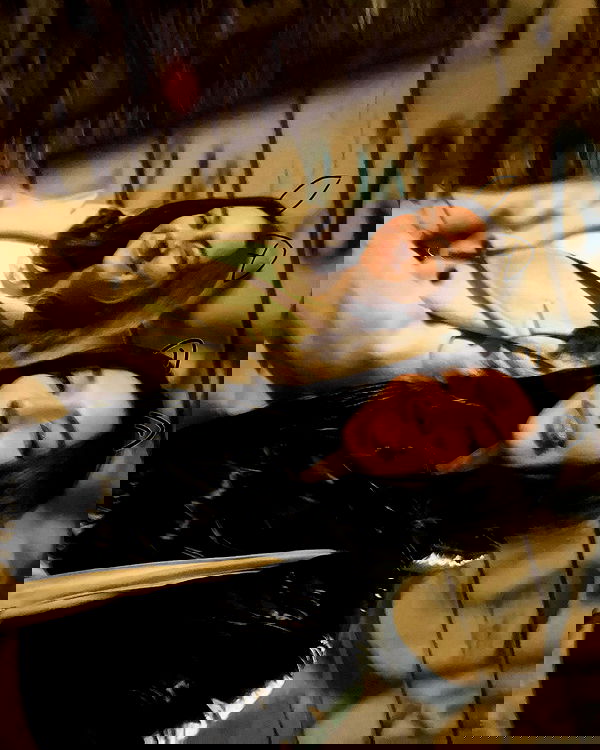 elsgatti image ~ Altpins