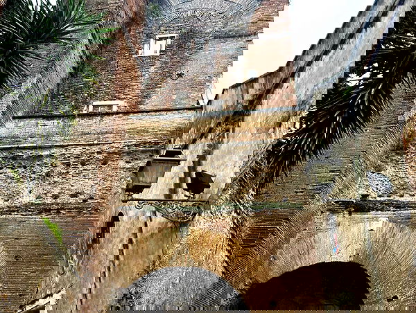 elsgatti image ~ Altpins