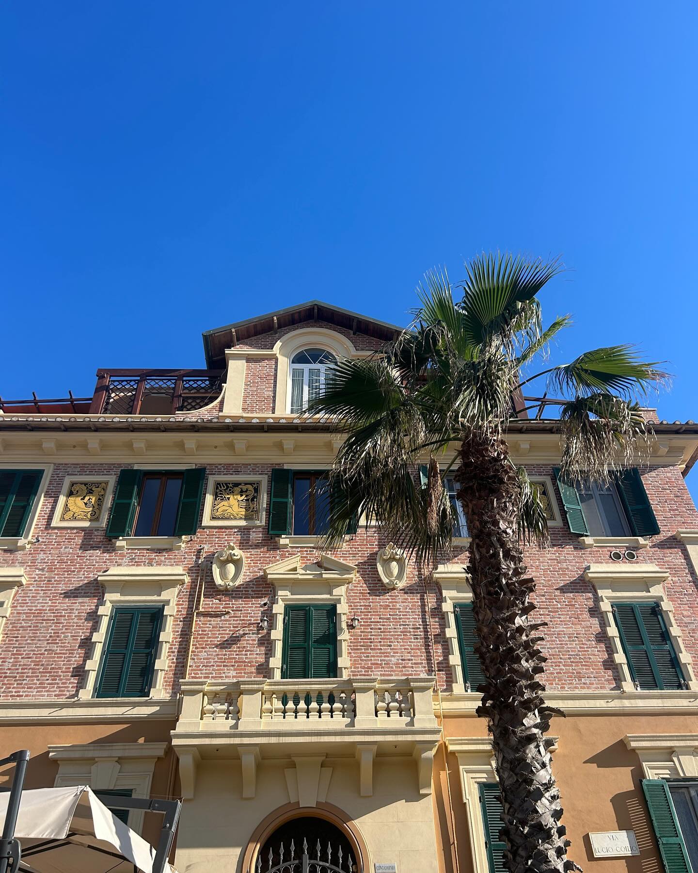 elsgatti instagram image archive image