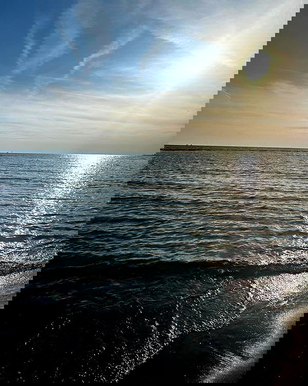 elsgatti image ~ Altpins