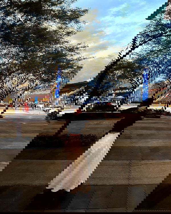 elsgatti image ~ Altpins