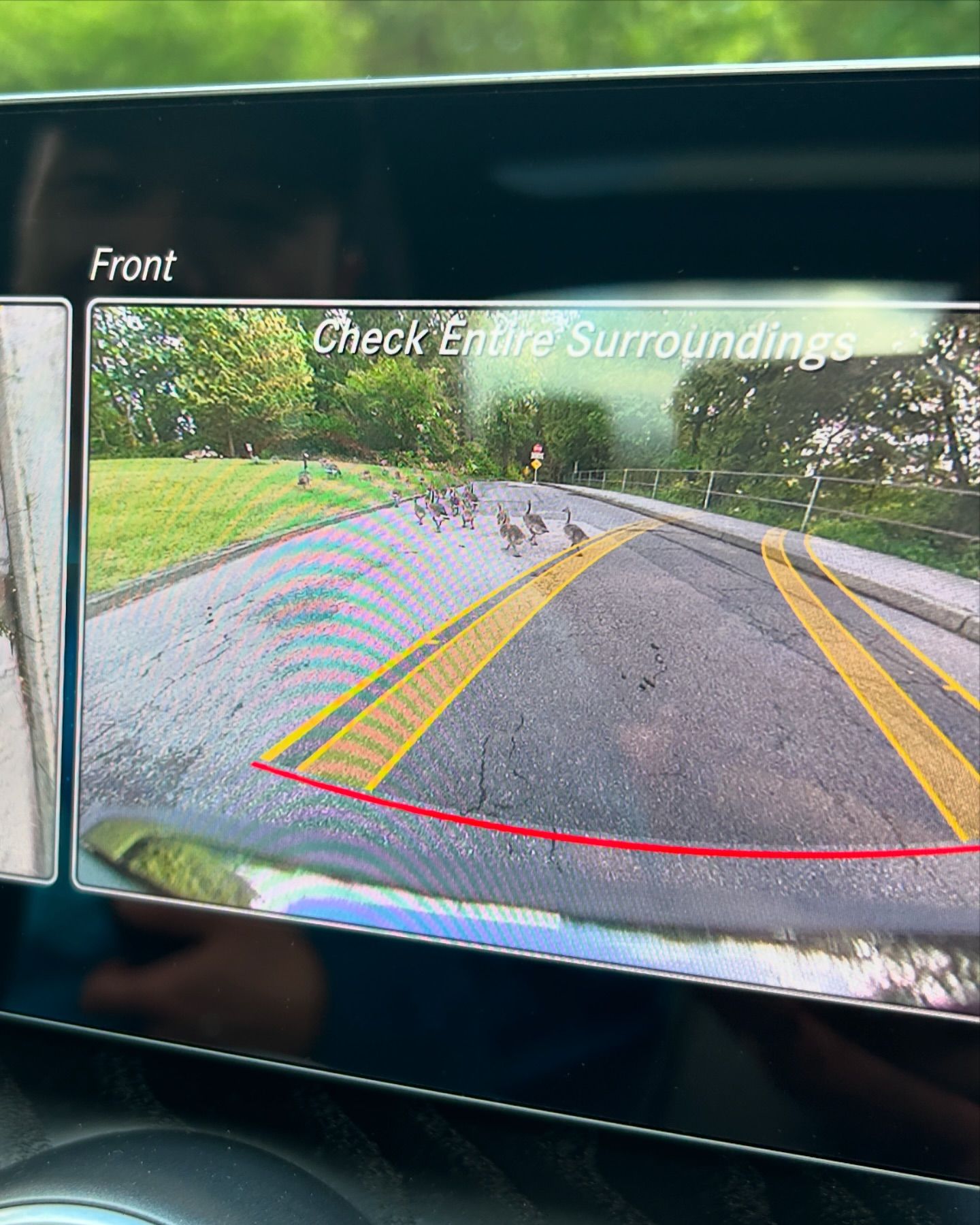 elsgatti instagram image archive image