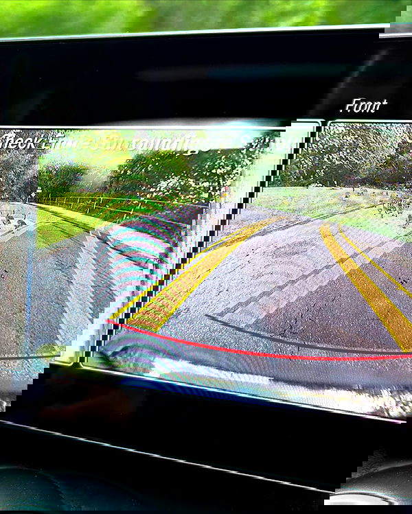 elsgatti image ~ Altpins