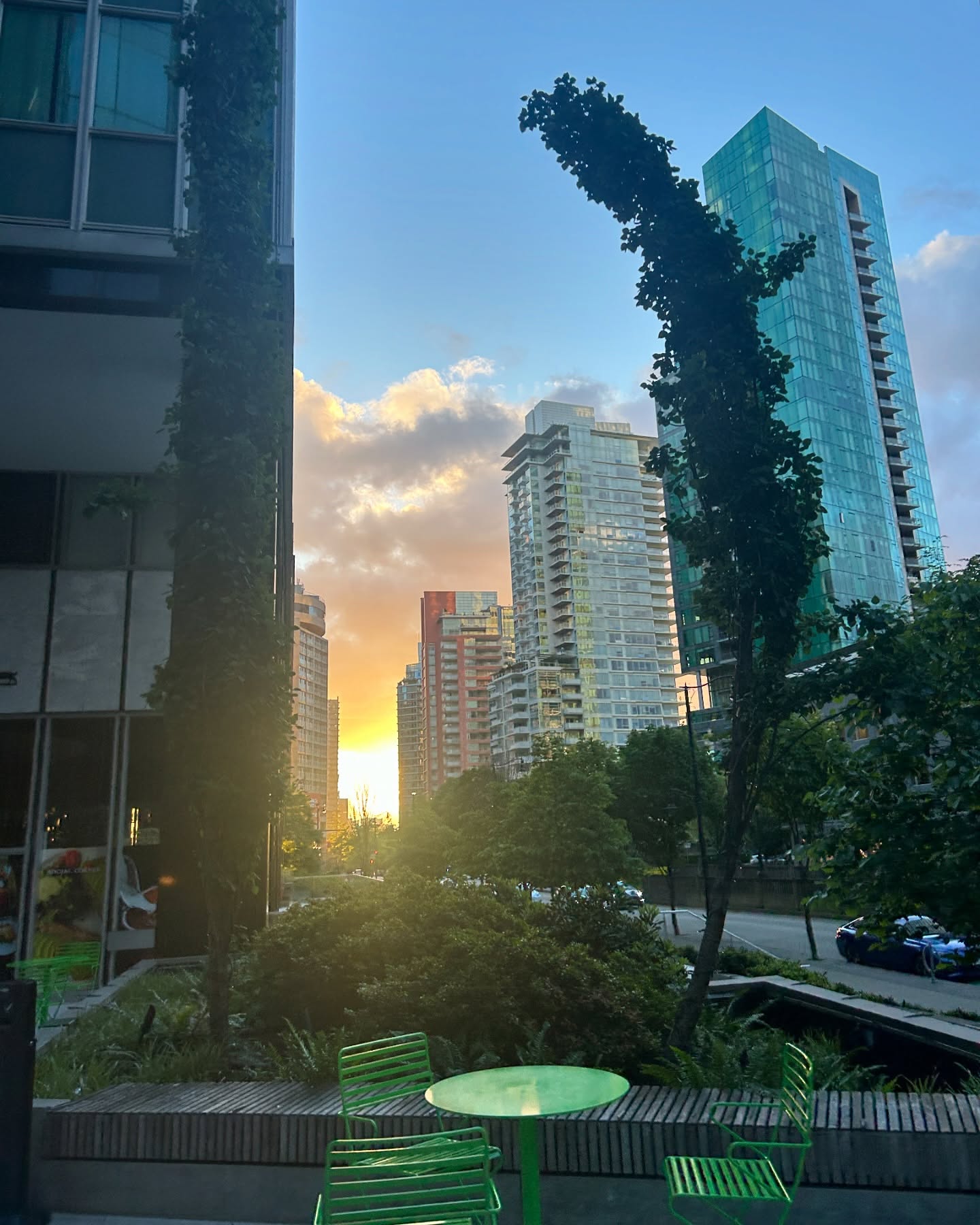 elsgatti instagram image archive image