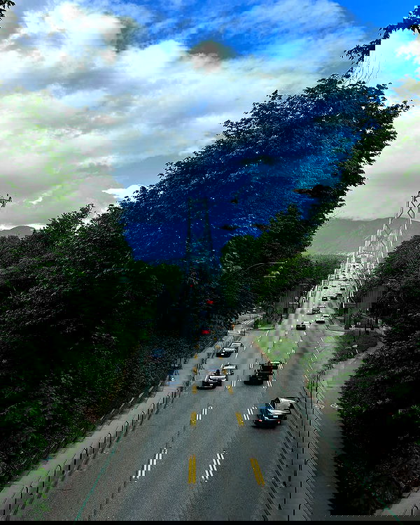 elsgatti image ~ Altpins