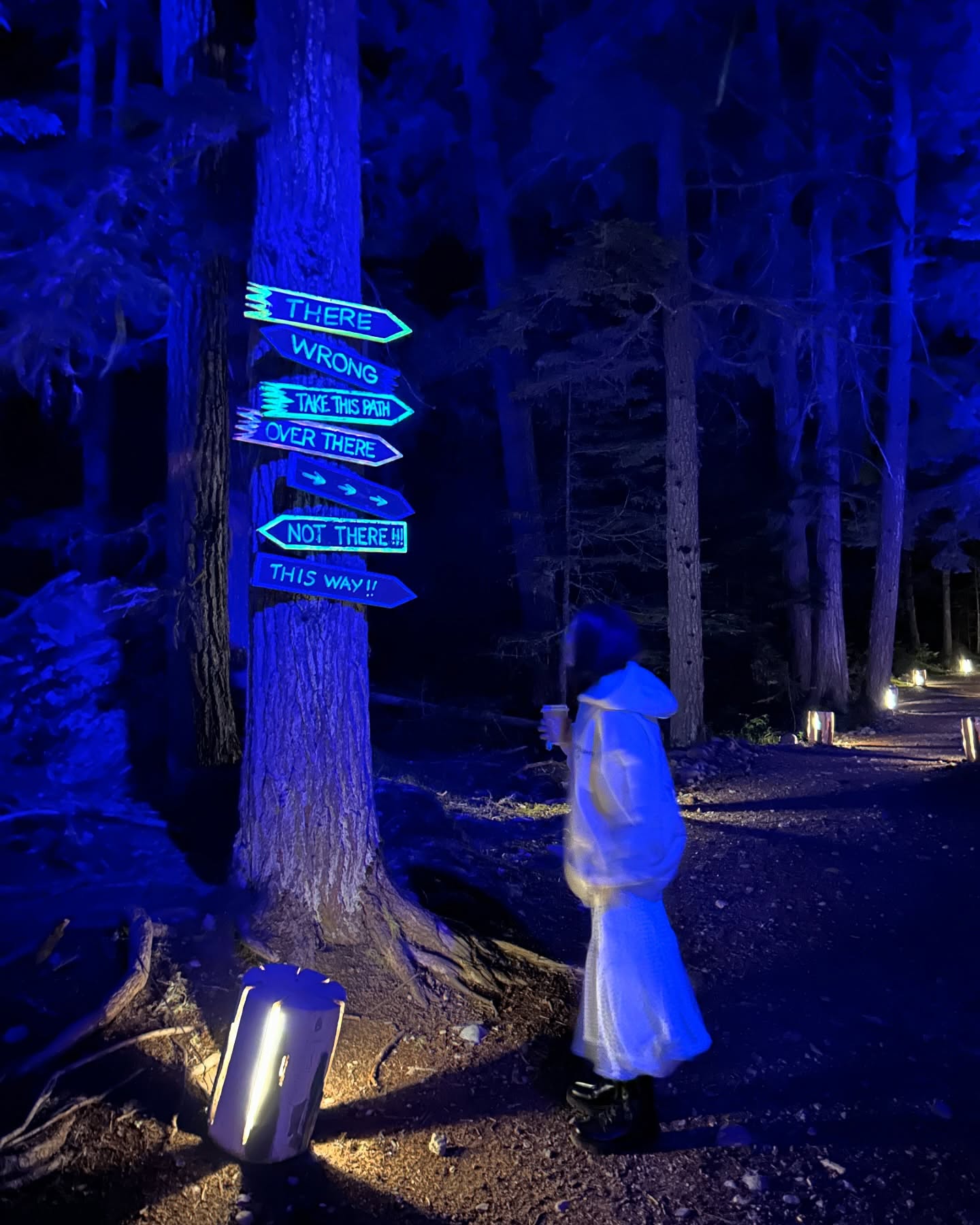 elsgatti instagram image archive image