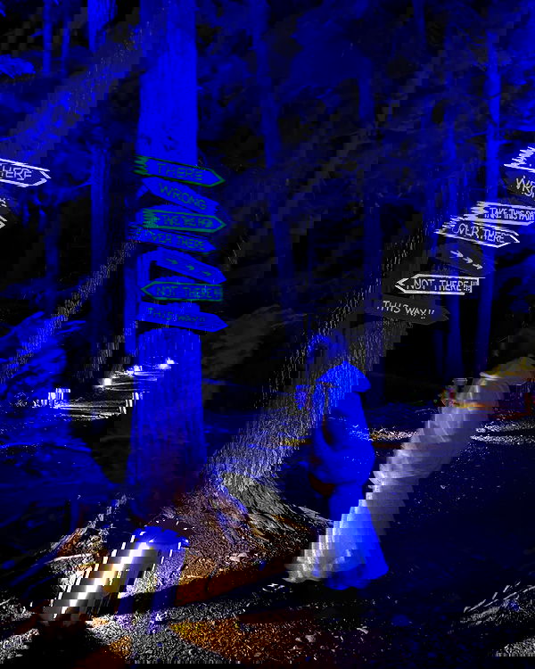 elsgatti image ~ Altpins