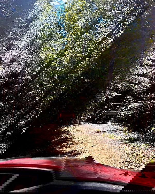 elsgatti image ~ Altpins