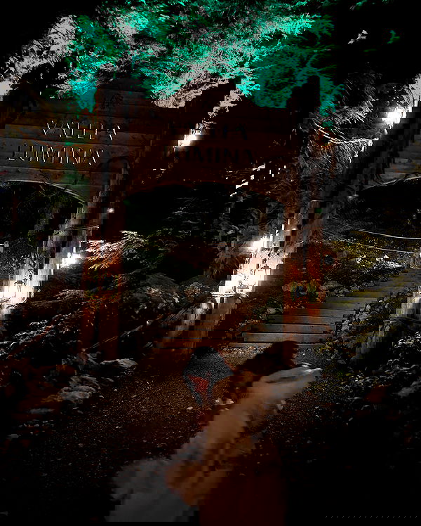 elsgatti image ~ Altpins