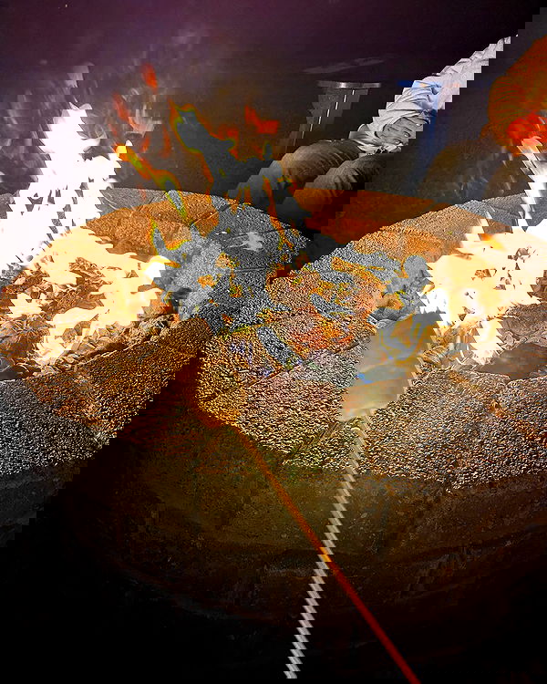 elsgatti image ~ Altpins