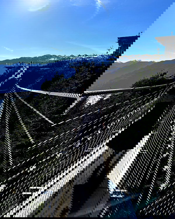 elsgatti image ~ Altpins