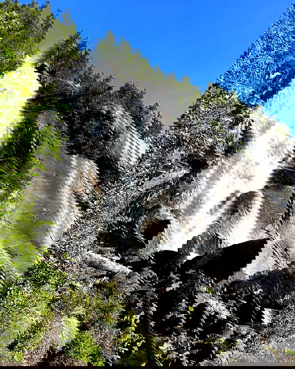 elsgatti image ~ Altpins