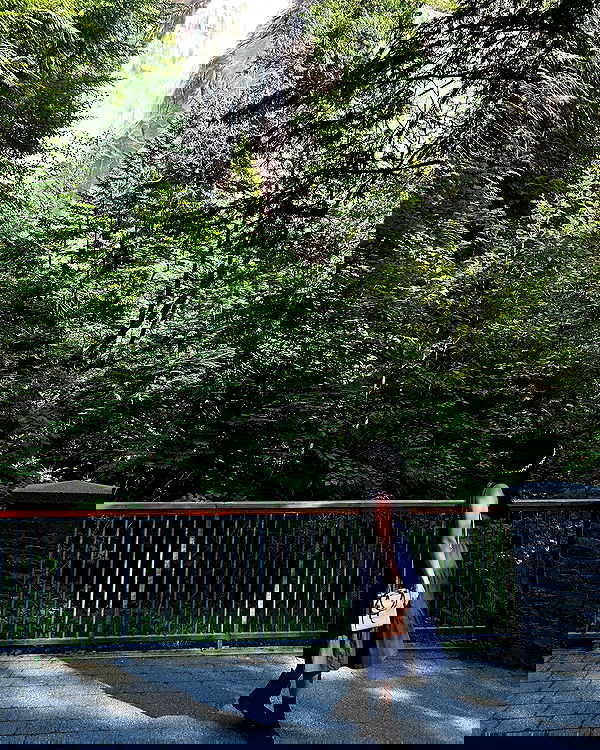 elsgatti image ~ Altpins