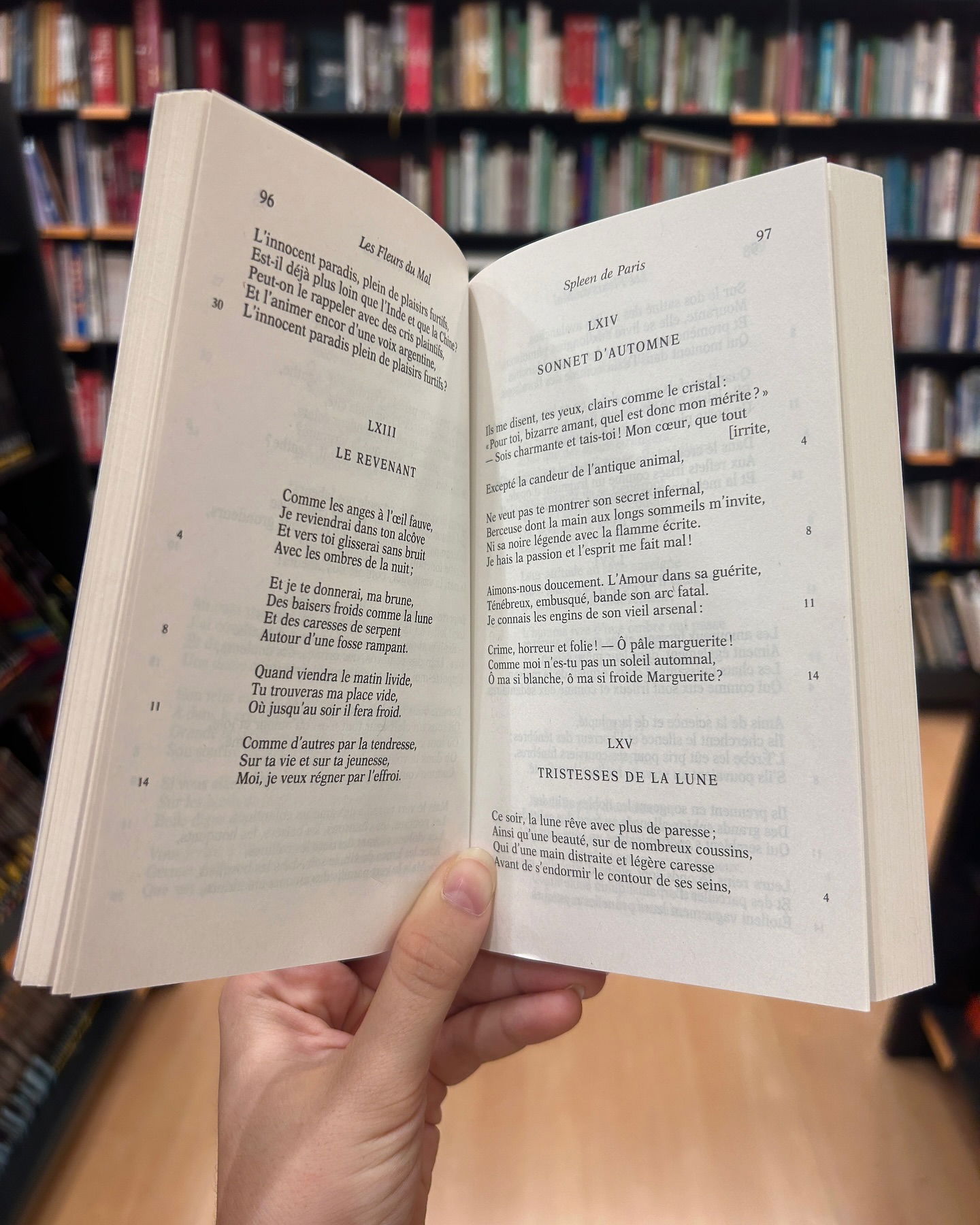 elsgatti instagram image archive image