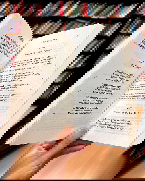 elsgatti image ~ Altpins