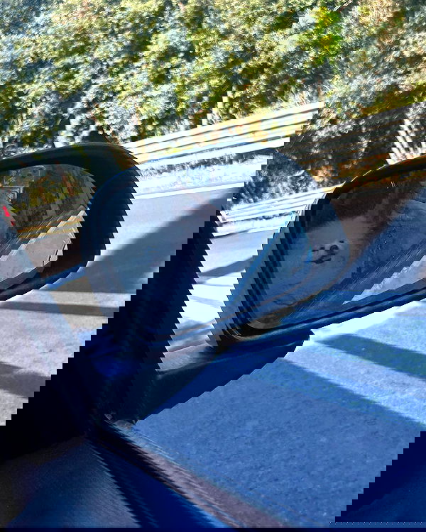 elsgatti image ~ Altpins