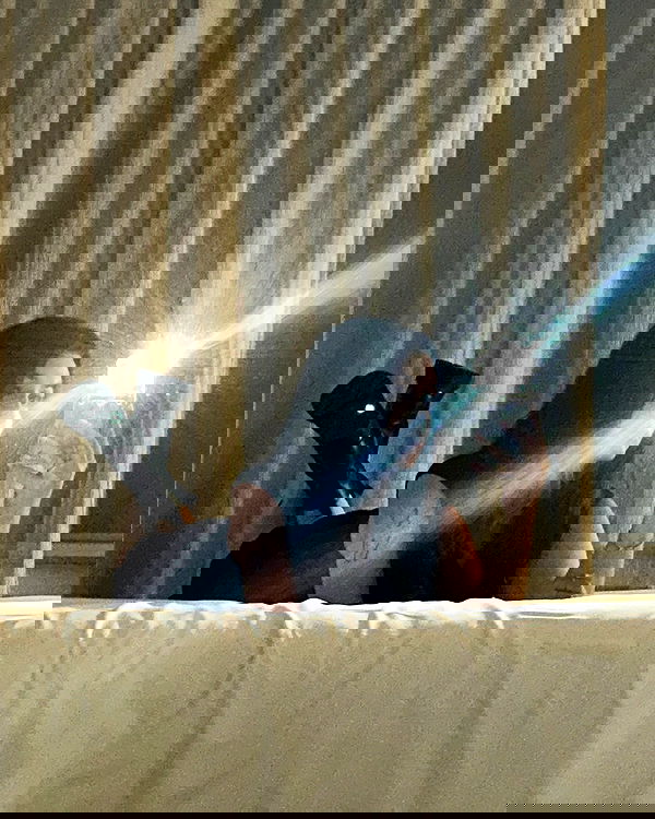 elsgatti image ~ Altpins