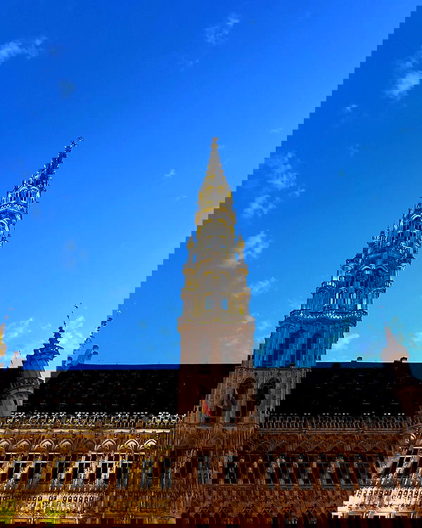 elsgatti image ~ Altpins