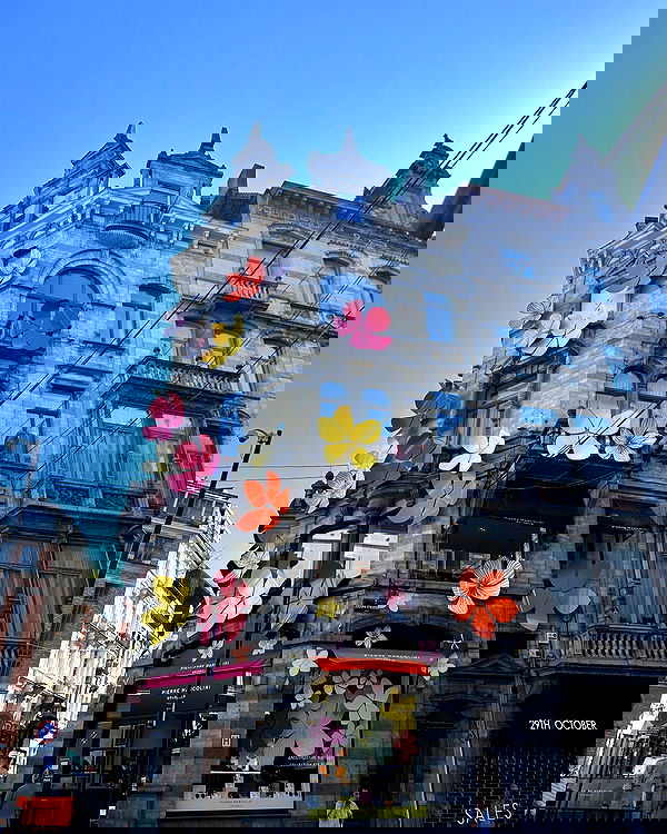 elsgatti image ~ Altpins