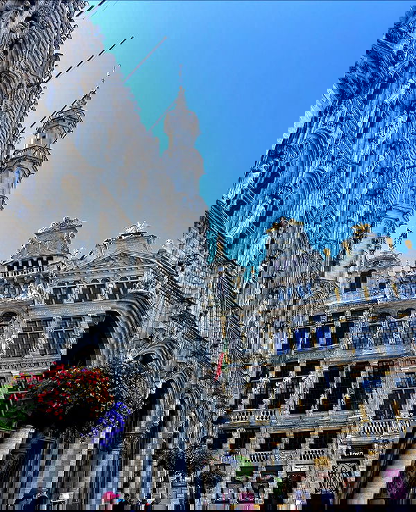 elsgatti image ~ Altpins