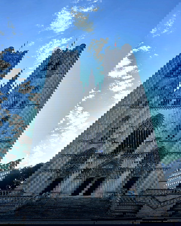 elsgatti image ~ Altpins