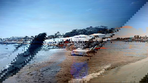 elsgatti image ~ Altpins