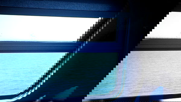 elsgatti image ~ Altpins