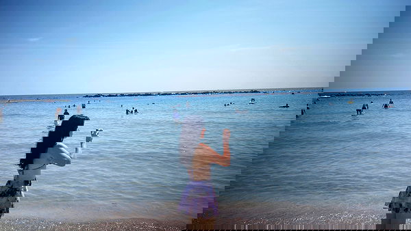 elsgatti image ~ Altpins