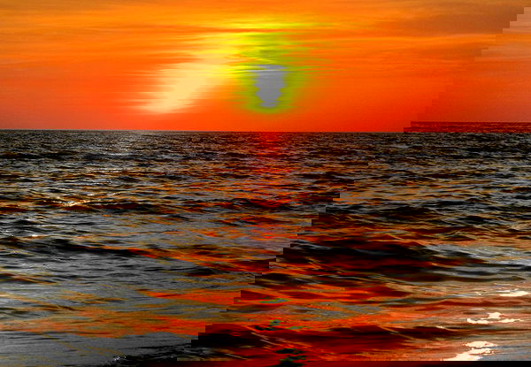 elsgatti image ~ Altpins