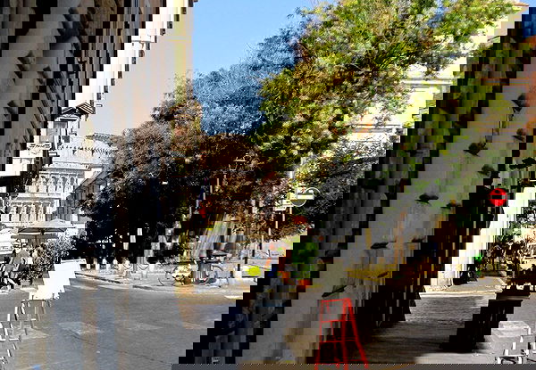 elsgatti image ~ Altpins