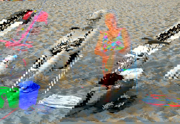 elsgatti image ~ Altpins