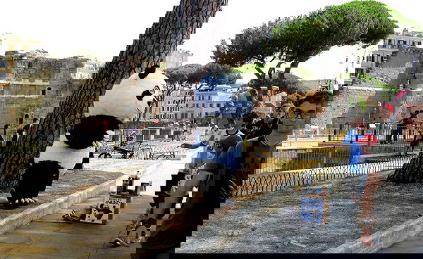 elsgatti image ~ Altpins