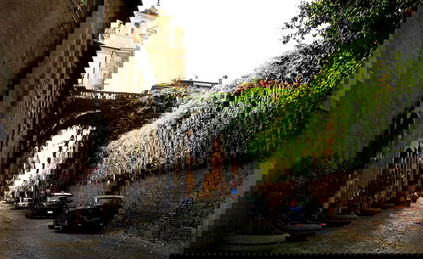 elsgatti image ~ Altpins