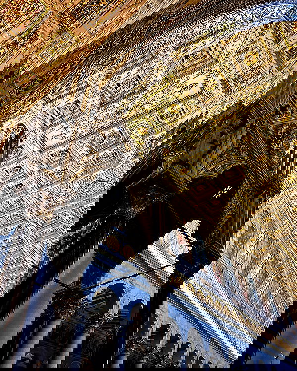 elsgatti image ~ Altpins