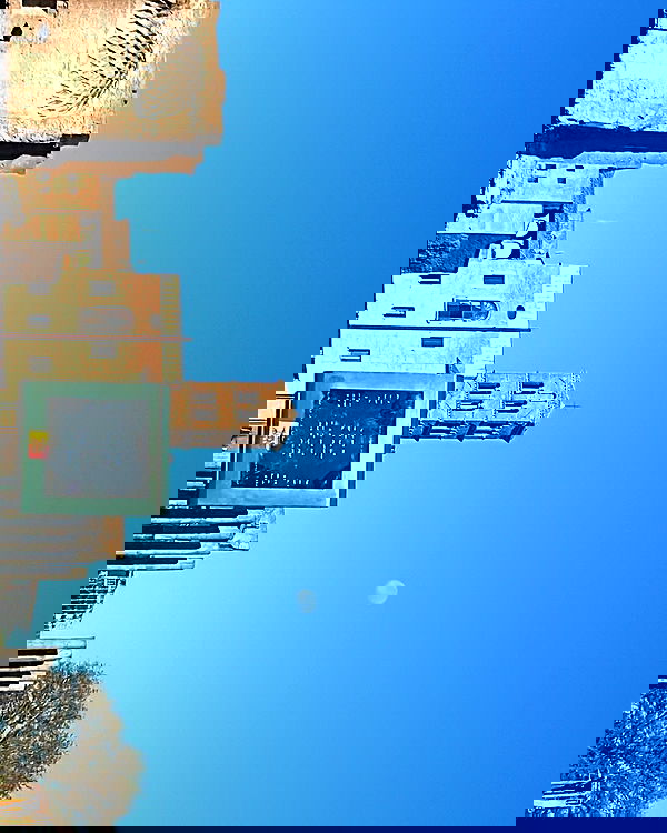 elsgatti image ~ Altpins