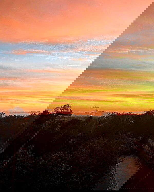 elsgatti image ~ Altpins