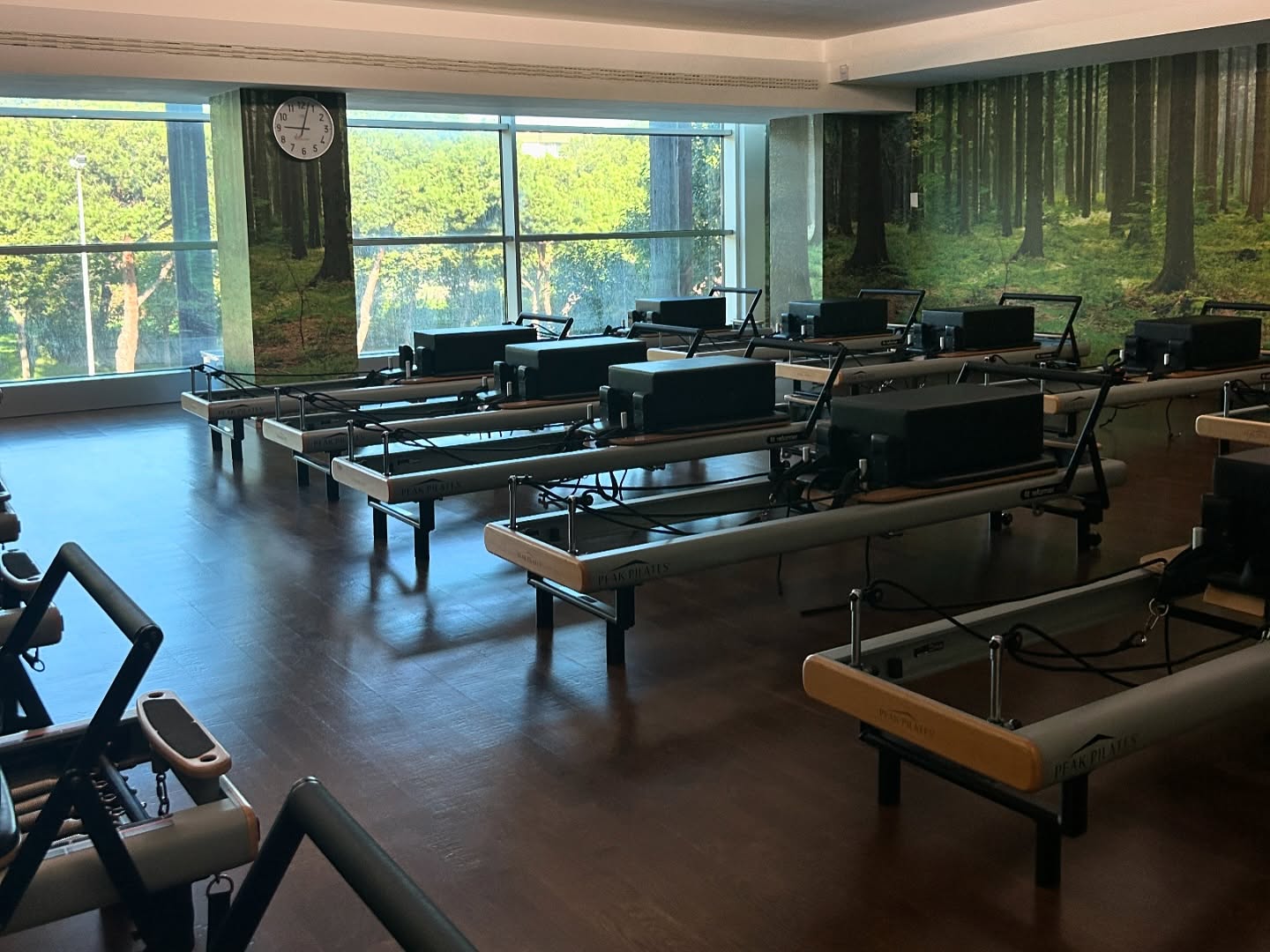 elsgatti instagram image archive image