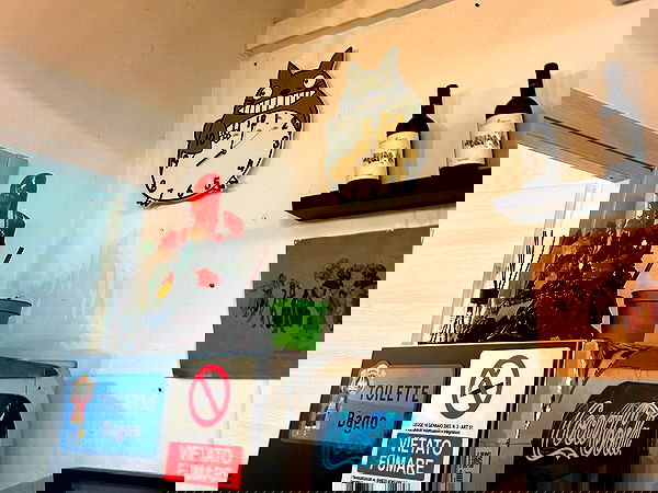 elsgatti image ~ Altpins