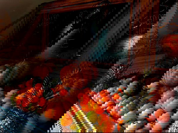 elsgatti image ~ Altpins