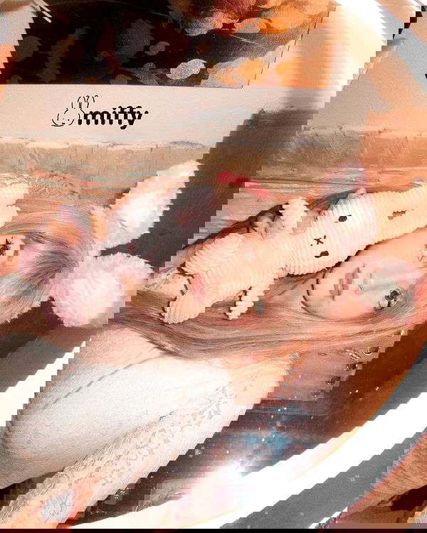 elsgatti image ~ Altpins