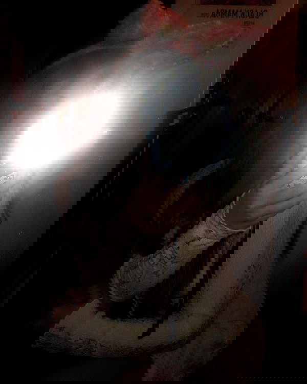 elsgatti image ~ Altpins