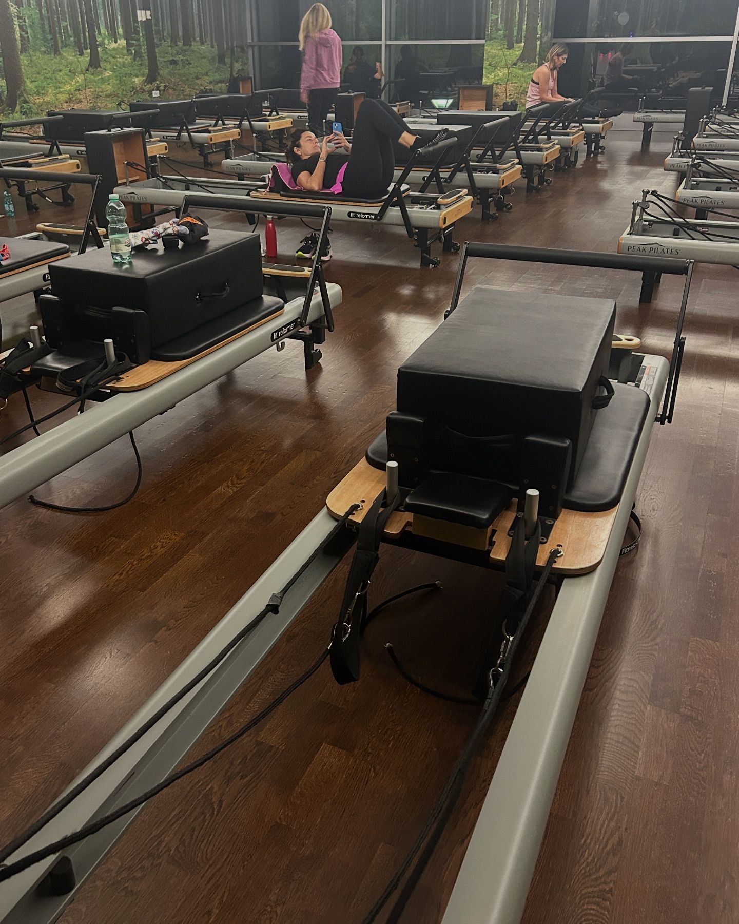 elsgatti instagram image archive image