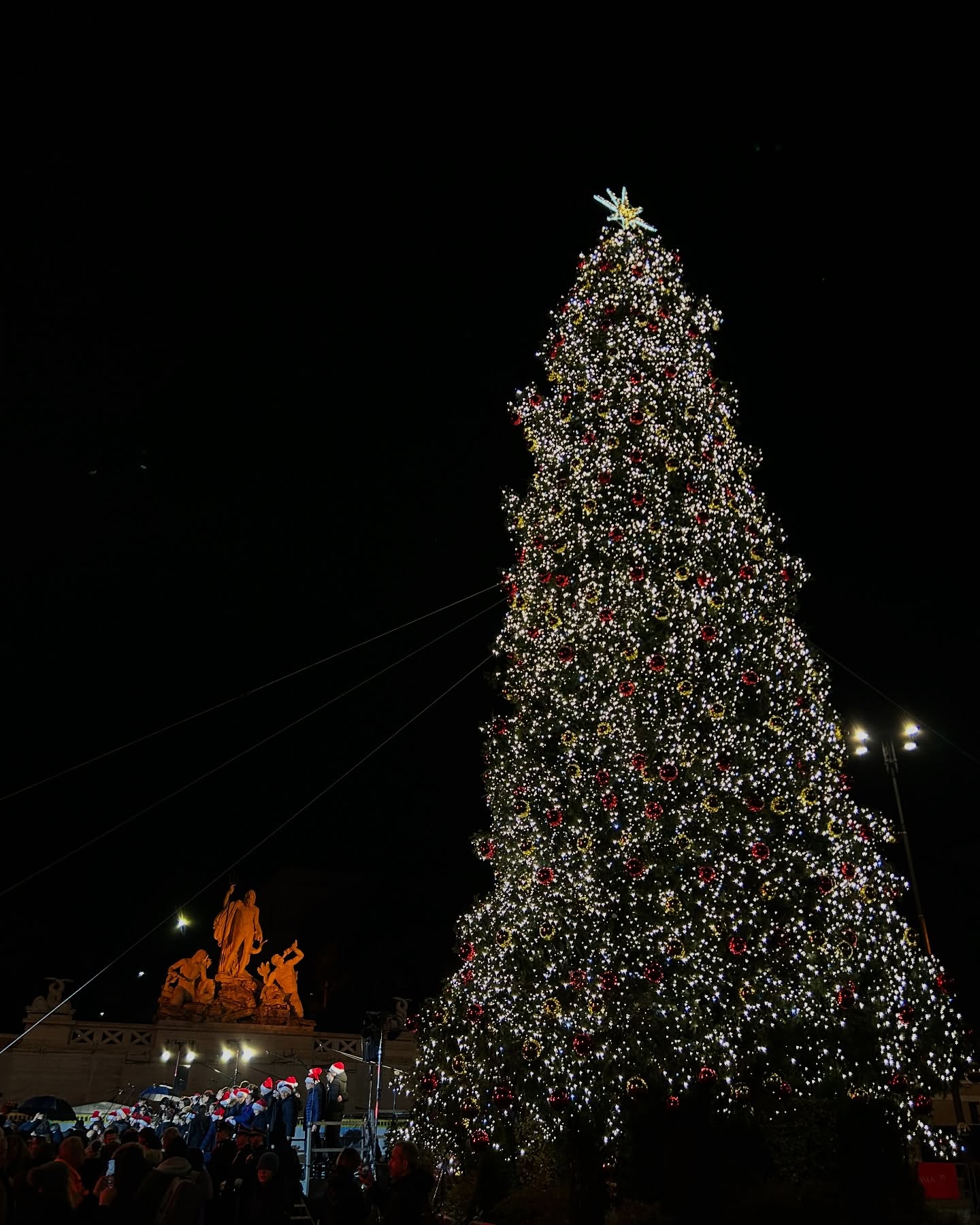 elsgatti instagram image archive image