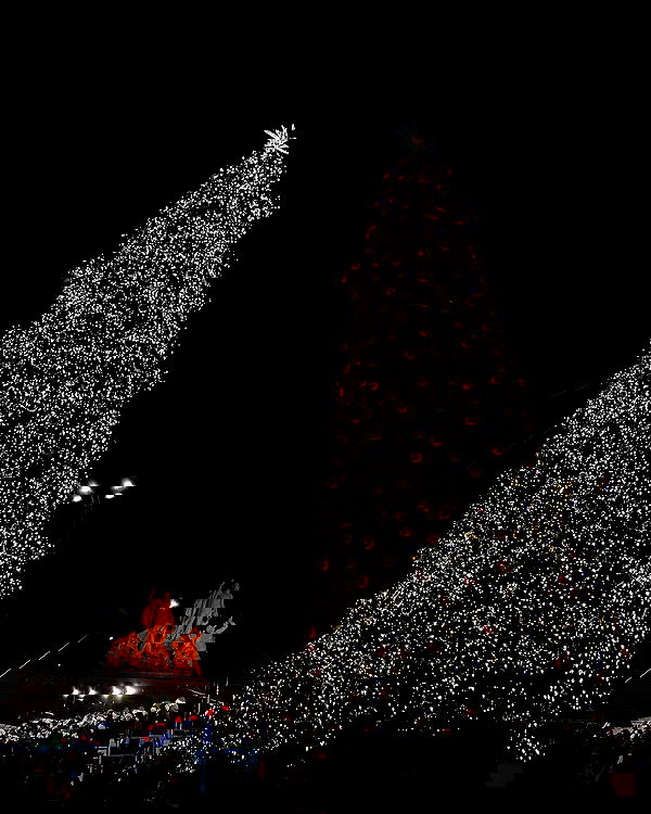 elsgatti image ~ Altpins