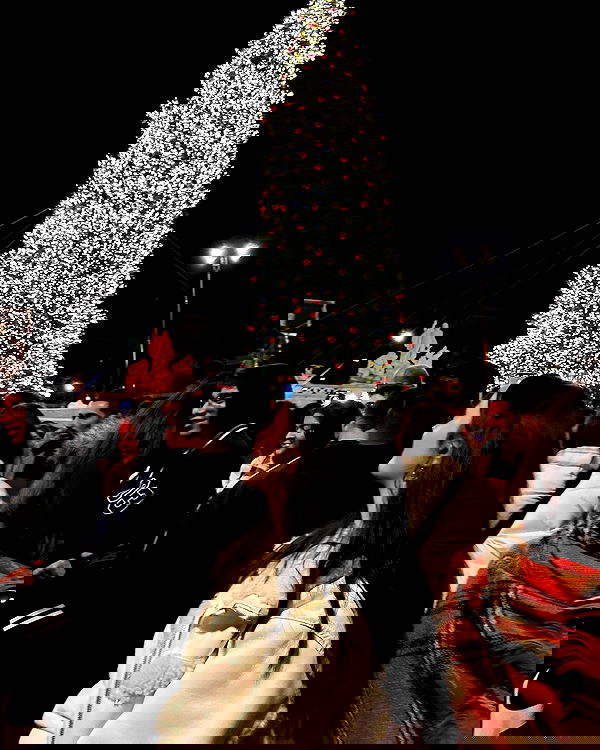 elsgatti image ~ Altpins