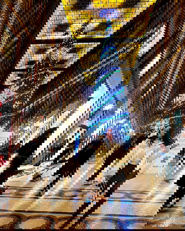 elsgatti image ~ Altpins