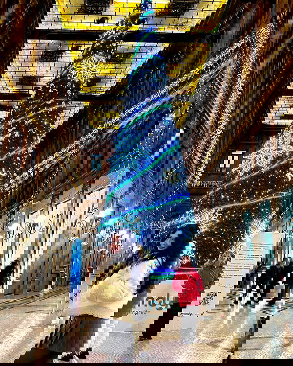 elsgatti image ~ Altpins